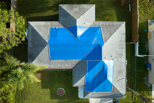 Best Roof Moss and Algae Removal  in Emporia, KS
